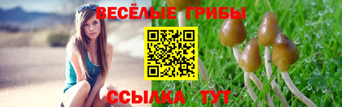 Галлюциногенные грибы мицелий  Псилоцибиновые грибы GOLDEN TEACHER  Вход с VPN  Янаул 